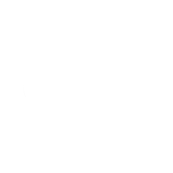 Windsor Forest Brass Academy logo